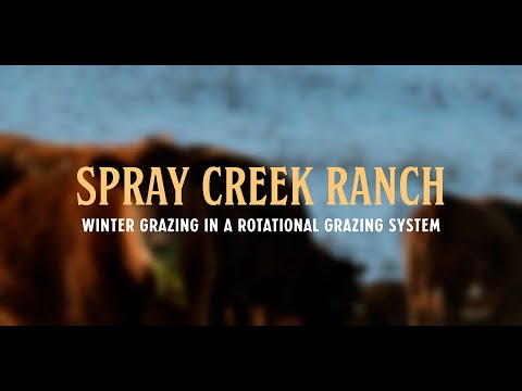 Organic Innovation Series Episode 4 : Winter Rotational Grazing Systems - Spray Creek Ranch