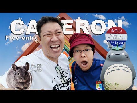 🇲🇾再闯金马伦 Cameron Highland trip Steven&Leong｜慧走高飞042