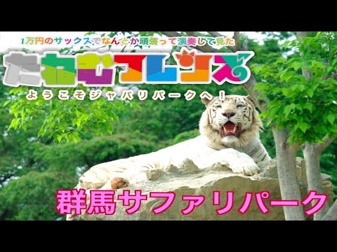 【けものフレンズ】ようこそジャパリパークへをjSAXで演奏してみた　in群馬サファリパーク