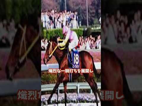 【サニーブライアンの軌跡】#shorts  #サニーブラウン #競馬 #jra