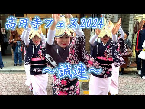 阿波踊り～誠連☆彡高円寺フェス 2024