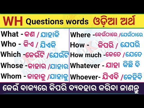 Wh Words / Wh words in English grammar / Wh Words Practice In Odia /  Wh family in Odia / Odia Word