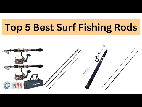 Top 5 Best Surf Fishing Rods for Every Angler