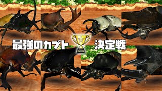 甲虫王者ムシキング - 最強のカブト決定戦 カブトムシバトル大会 トーナメント [ムシキング20周年]