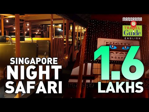 Singapore Travel Guide | Tourist Places | Night Safari | Tourist Places | Amazing Travel Videos