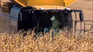 CLAAS LEXION 760 TERRA TRAC  - WORLD RECORDS In Corn