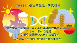 【CREST植物頑健性】P700酸化システムによるROS酸化障害の危機診断