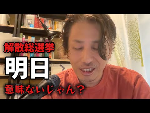 選挙は無意味？投票に行った方がいい本当の理由！！ - 外資系企業で働くVlog