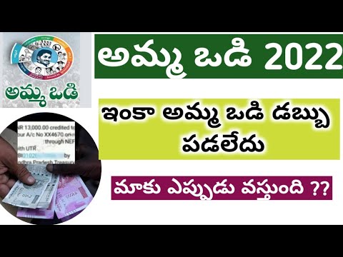 AP AMMA VODI 2022 || అమ్మ ఒడి ఇంకా రాని వాళ్లకు ఎప్పుడు వస్తుంది 2022 || 13000 for mother ||