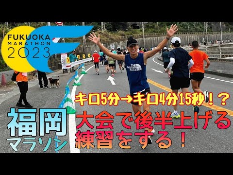 福岡マラソンでネガティブスプリットを目指す！福岡マラソン2023参戦記