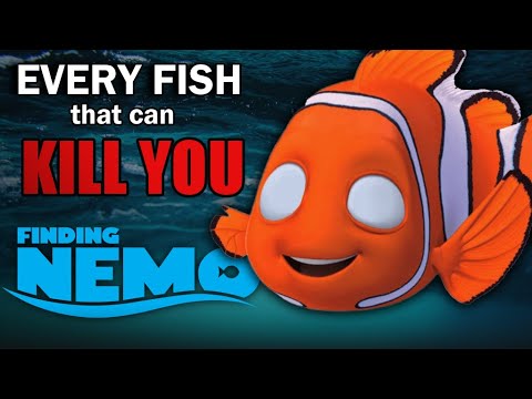 How Many Fish Can KILL YOU in FINDING NEMO?