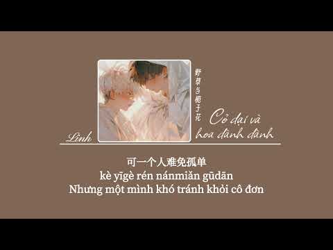 [Vietsub] Cỏ dại và hoa dành dành • Tịch Dương (Bản Nam)♪ 野草与栀子花 • 汐烊