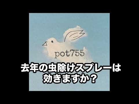 pot755 オープニングトーク