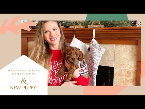 Wrapping My Toddler's Gifts, Santa & NEW PUPPY!!