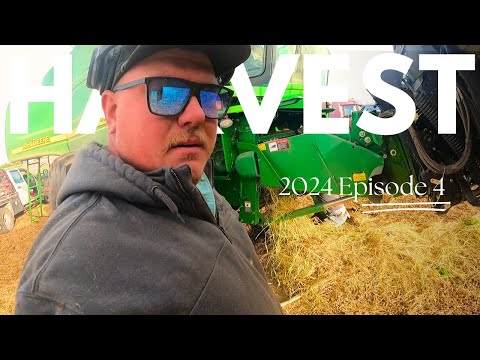 HOW MANY TIMES CAN YOU BREAK A COMBINE? - Elevator belts don't make good whips!