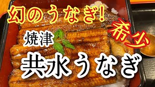 幻の鰻!!【共水うなぎ】を焼津船小屋さんでいただいてきました！