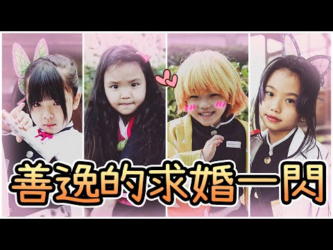 禰豆子妹妹嫁給我吧~~善逸的求婚一閃!! ♪ 隻隻 ♪ 鬼滅之刃 小小鬼殺隊外拍記錄