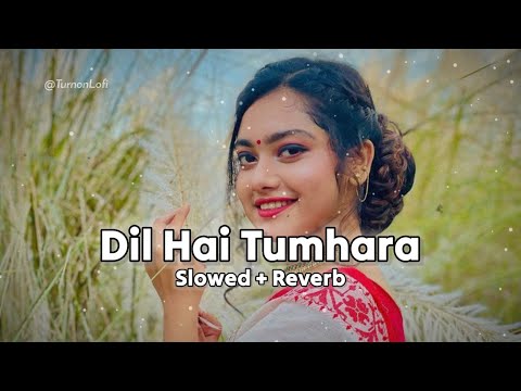 Dil Hai Tumhara - Slowed & Reverb | Udit Narayan | Dil Ka Rishta | Mastana Mausam Hai Song Lofi