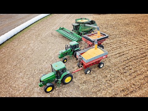 Final Bin Fill | Last Leg of the Harvesting Race!