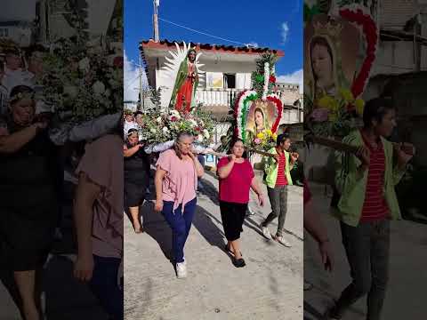 La Procesión de La Virgen de Guadalupe en la Fiesta Patronal de Cerrillos de Diaz Veracruz