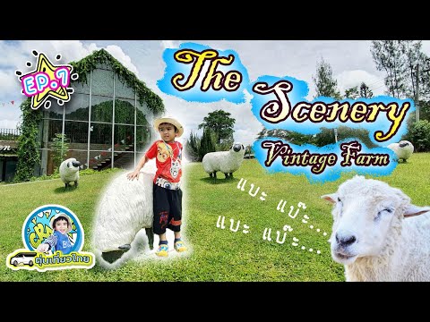 ตุ่นเที่ยวไทย l ดูโชว์หายากที่ The scenery vintage farm จังหวัดราชบุรี ให้อาหารแกะ เป็ด แพะ EP7