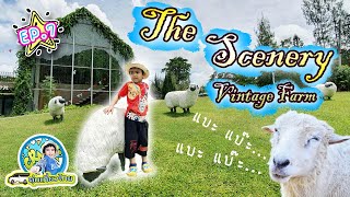 ตุ่นเที่ยวไทย l ดูโชว์หายากที่ The scenery vintage farm จังหวัดราชบุรี ให้อาหารแกะ เป็ด แพะ EP7