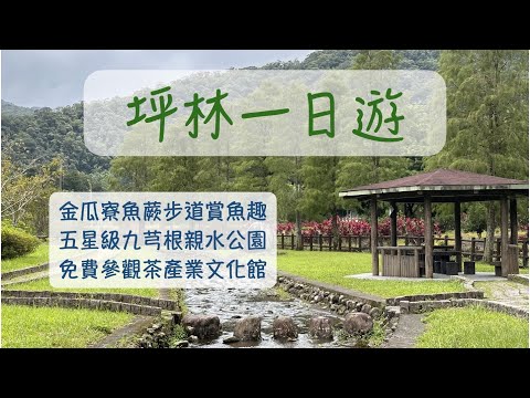 坪林金瓜寮魚蕨步道｜蕨類步道｜九芎根親水公園｜坪林茶產業文化館｜坪林老街｜坪林美食｜新北坪林