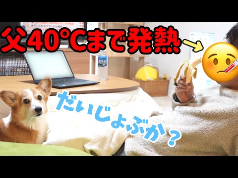 高熱の父をマイペースに癒してくれる愛犬がかわいい