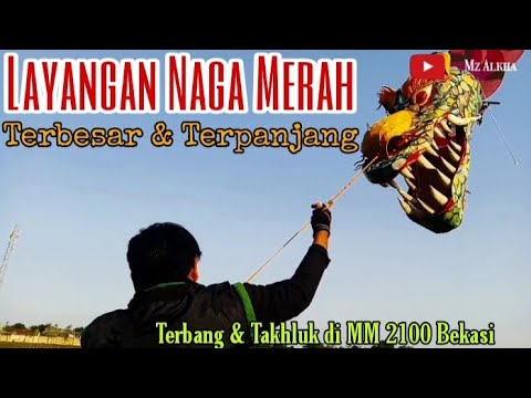 Red Dragon Kite Flying in MM2100 Bekasi | Layangan Naga Merah Terpanjang Terbang di MM 2100 Bekasi