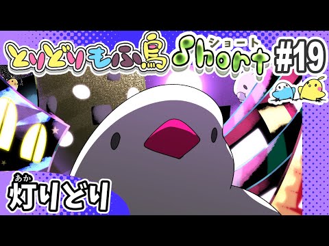 【手描き】もふ鳥ショート#19 「灯りどり」