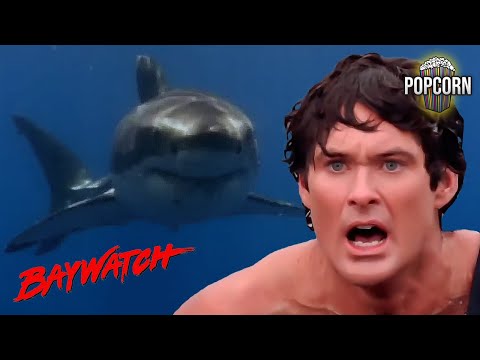 Top 5 Most Viewed Shark Attacks on Baywatch