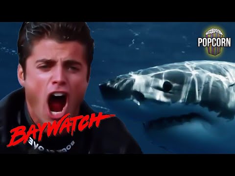 Top 10 SHARK Attacks on Baywatch!