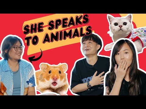 We Talked to a Cat and a Dead Hamster Through an Animal Communicator! | UncoverWithMe EP 2