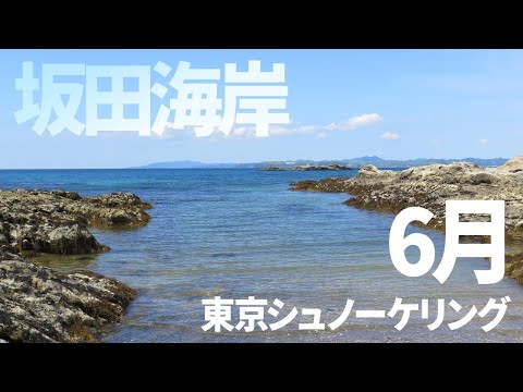 ＃２５坂田海岸でシュノーケリング（2016年6月）【東京シュノーケリング】