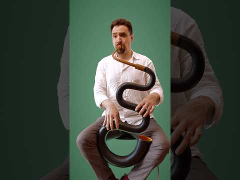 What makes the serpent a brass instrument?