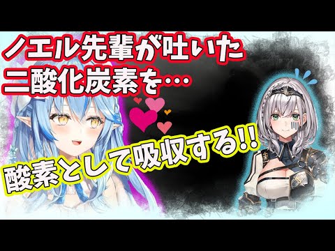 【雪花ラミィ/白銀ノエル 】団長に対して限界化するラミィちゃん【ホロライブ/切り抜き】