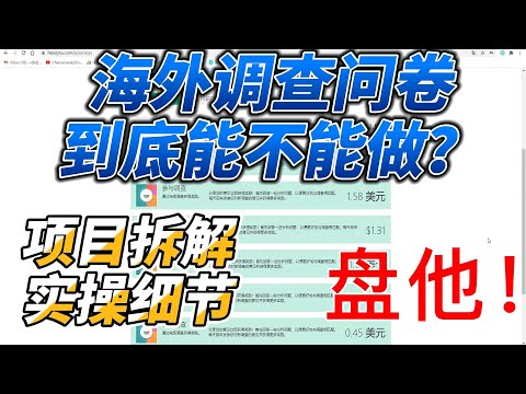 海外调查问卷项目到底能不能做？详细拆解及实操细节！！