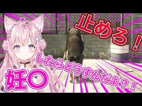 【GTAV】犬が急に性行為し始める こより動揺！？