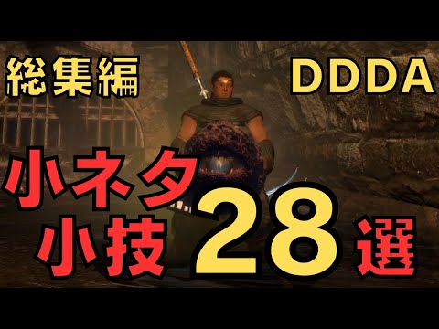 【総集編：ドラゴンズドグマダークアリズン】冒険が倍楽しくなる小ネタ・小技28選【DDDA解説】