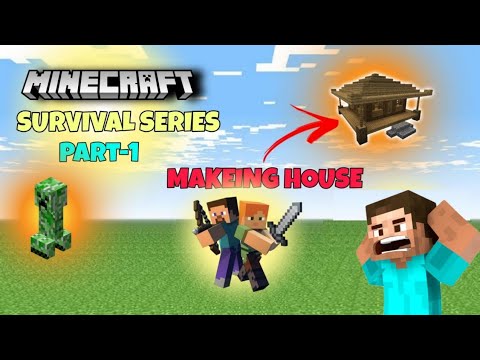 NEW SURVIVAL SERIES WITH MY BROTHER PART 1