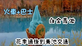 北海道自由行EP19                   美瑛白金青池｜富良野花季過後｜火車轉巴士抵達。