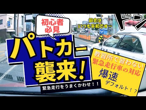 【爆速パトカー】緊急走行の対応はこの流れでOK 《初心者向け急な進路変更のポイント》