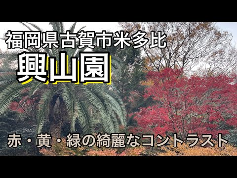 【福岡】福岡県古賀市「興山園」秋の綺麗なコントラスト