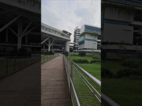 玛丽蒙社区中心和诺雅初级学院 Marymount CC and Eunoia JC