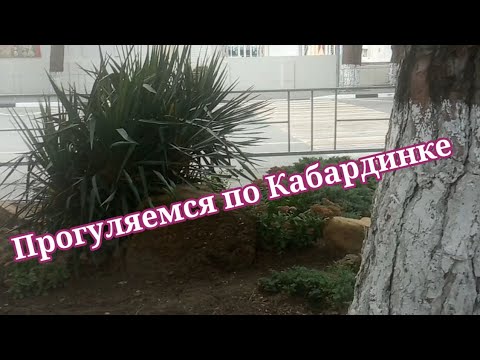 Делаю прививку от гриппа, гуляю по Кабардинке, у нас Бабье лето! Кабардинка 2021.