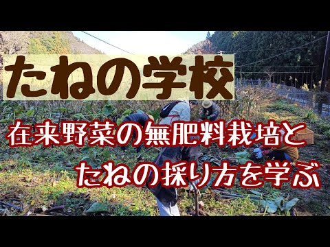 たねの学校やってます／タネを一緒に守ってくれる人たち