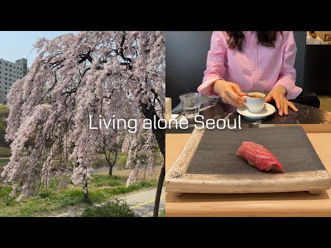 Sub) Living alone in Seoul | Vlog | Sushi omkase | Unboxing | Cherry Blossom | Espresso Bar