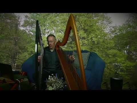 Harps Akimbo / dual wielding: Phrydotia live by Ralf Kleemann