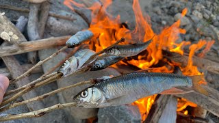 釣った魚を焚き火でいただく