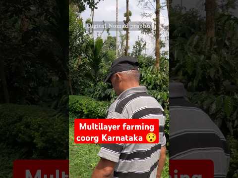 Multi layer farming Coorg Karnataka || Travelling. #shorts #trendingshorts #farming #travelvlog